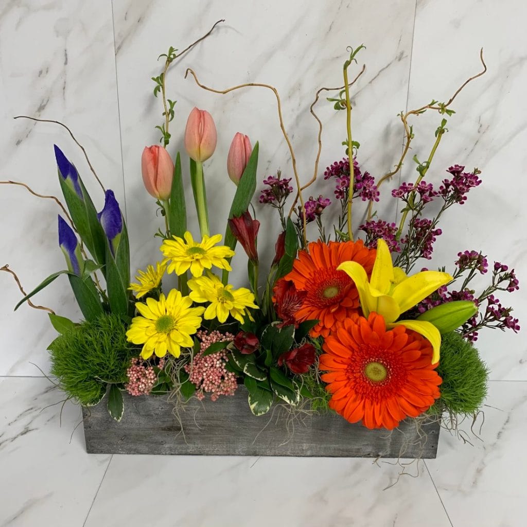 The Garden Box