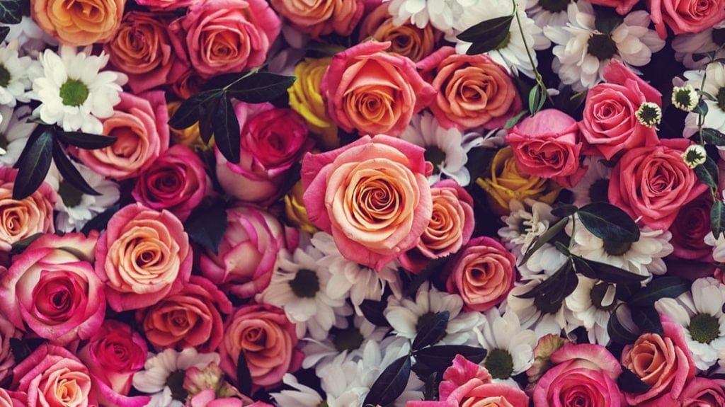 Shop Our Flowers Fresh Flowers by Anna