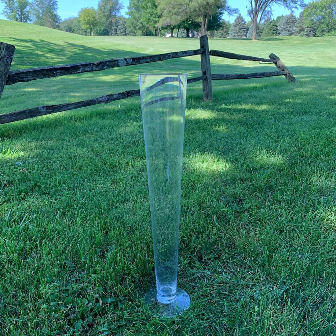 24 in. Pilsner Vase Fresh Flowers by Anna