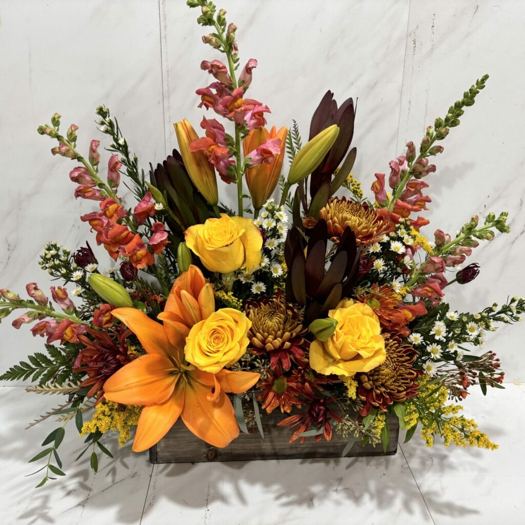 Autumn Radiance