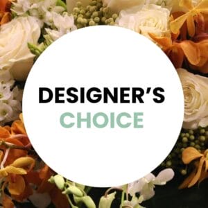 Designer's Choice