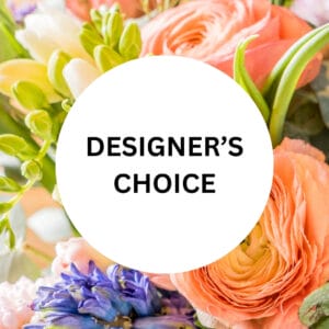 Designer's Choice